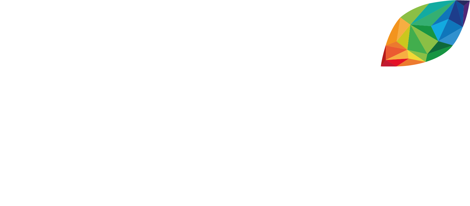 Consoft